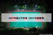 2017中超辽宁主场（2017中超集锦）