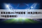 青海卫视2017中超直播（青海卫视2017中超直播回放）